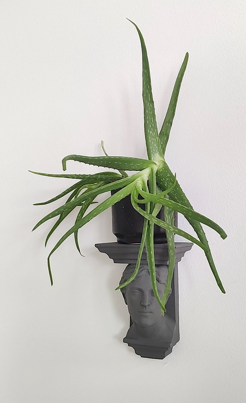 Androgyne Plaster Console