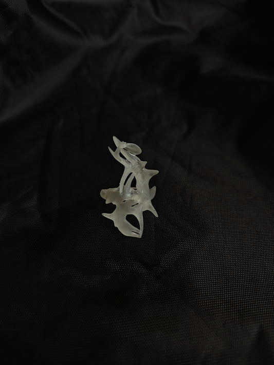 Frozen Thorns – Transparent Fishbone Ring