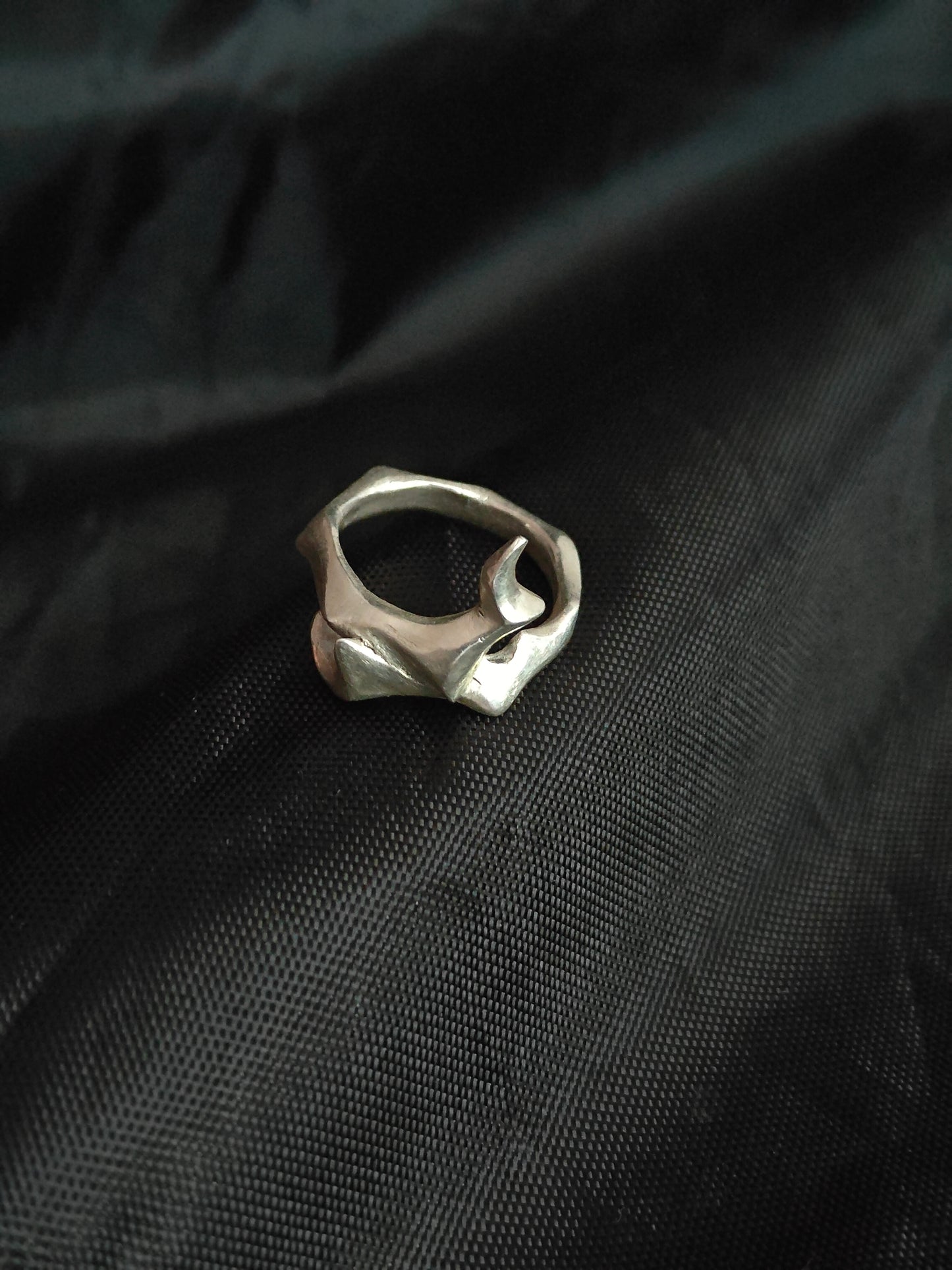 One-of-a-Kind Silver Fang Ring
